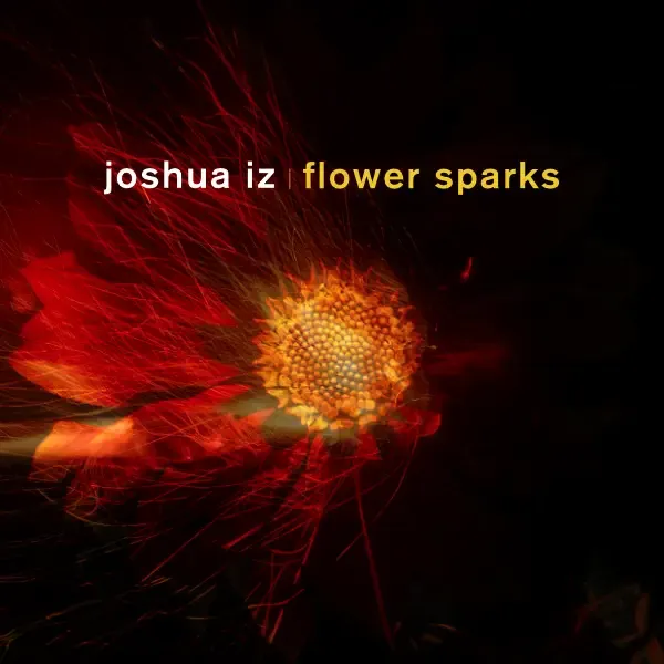 Flower Sparks by Joshua Iz