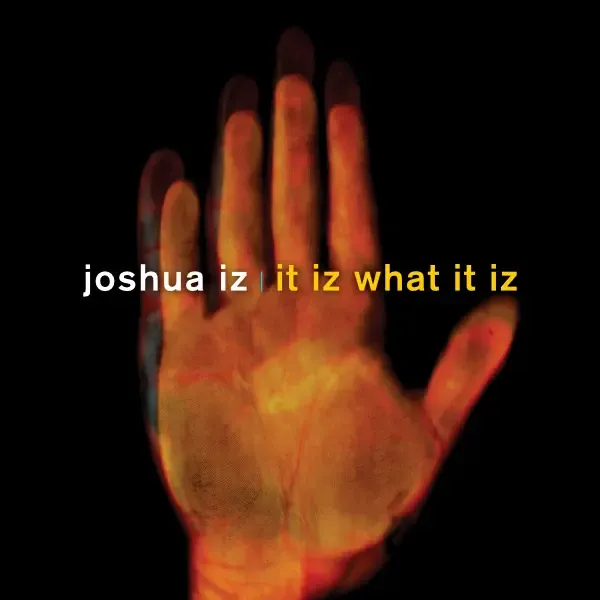 It Iz What It Iz by Joshua Iz